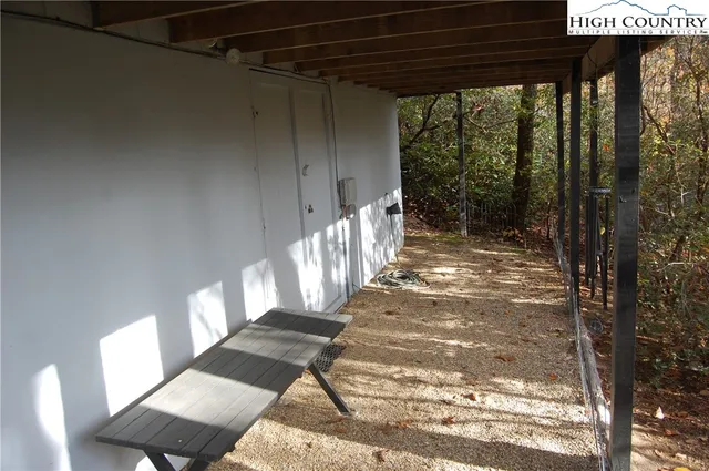 a view of a tree with a plant