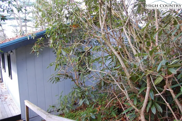 a view of backyard with trees