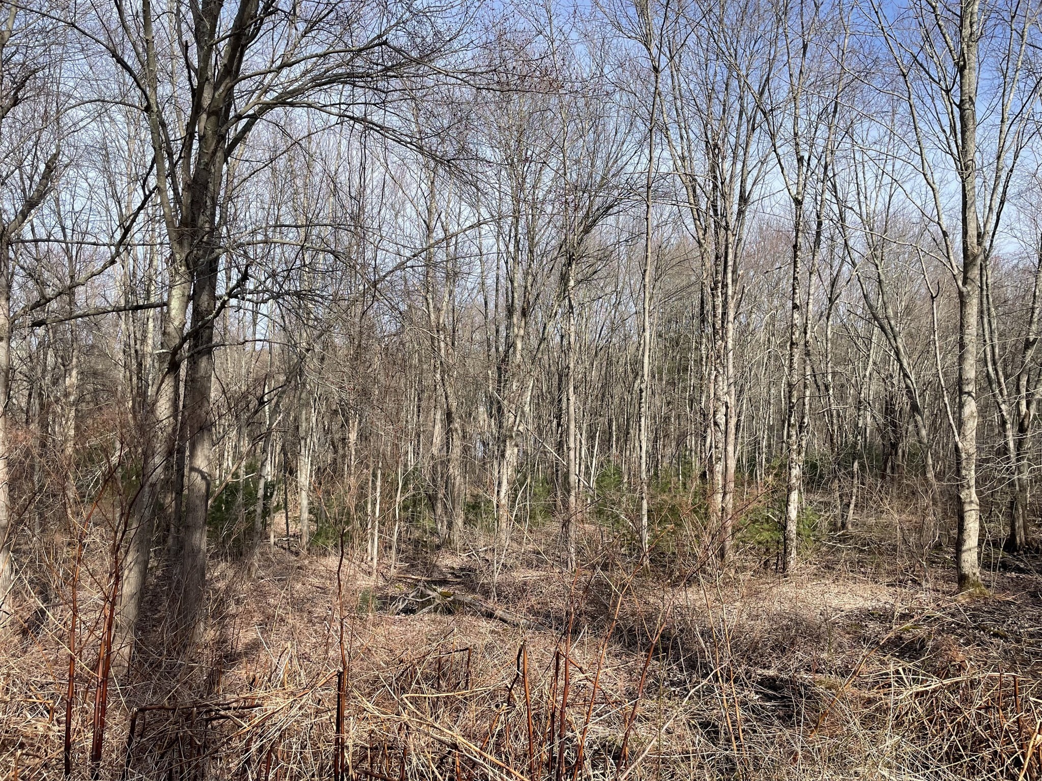 50 Fiskdale Road Brookfield, MA 01506 - Photo 5 of 9 Gallery Image 5