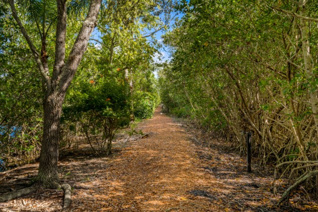 475 Grove Isle Circle, Unit 475 Vero Beach, FL 32962 - Photo 32 of 36 a view of a forest with trees