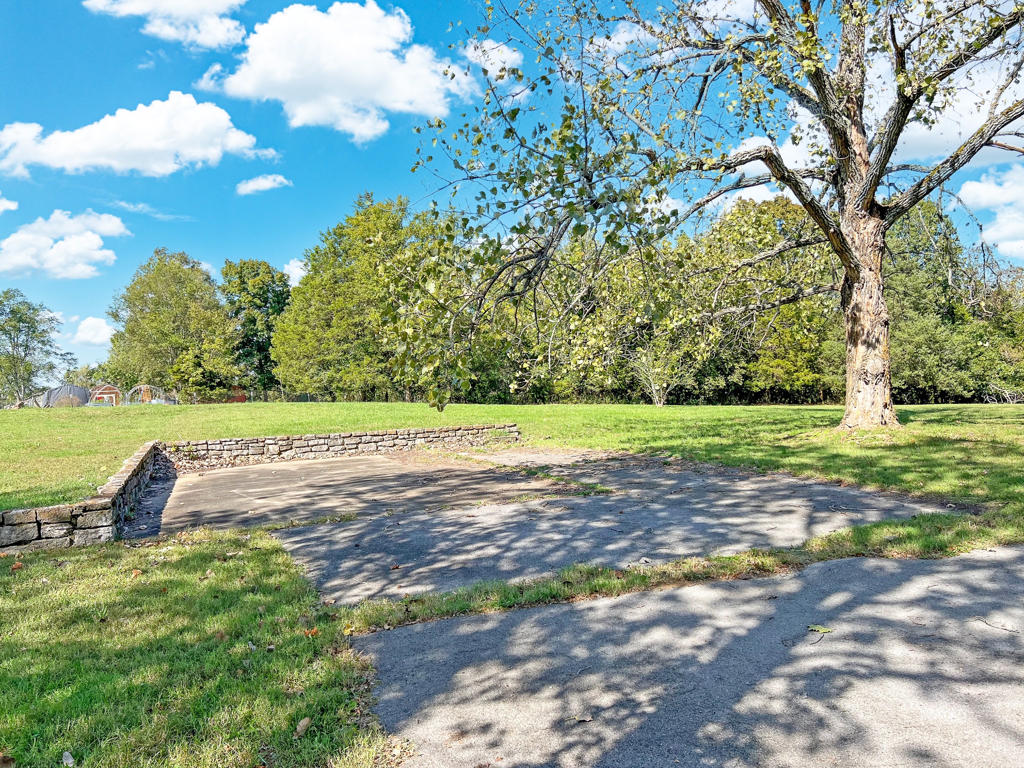 1235 Yell Road Lewisburg, TN 37091 - Photo 16 of 36 a view of outdoor space with garden and trees