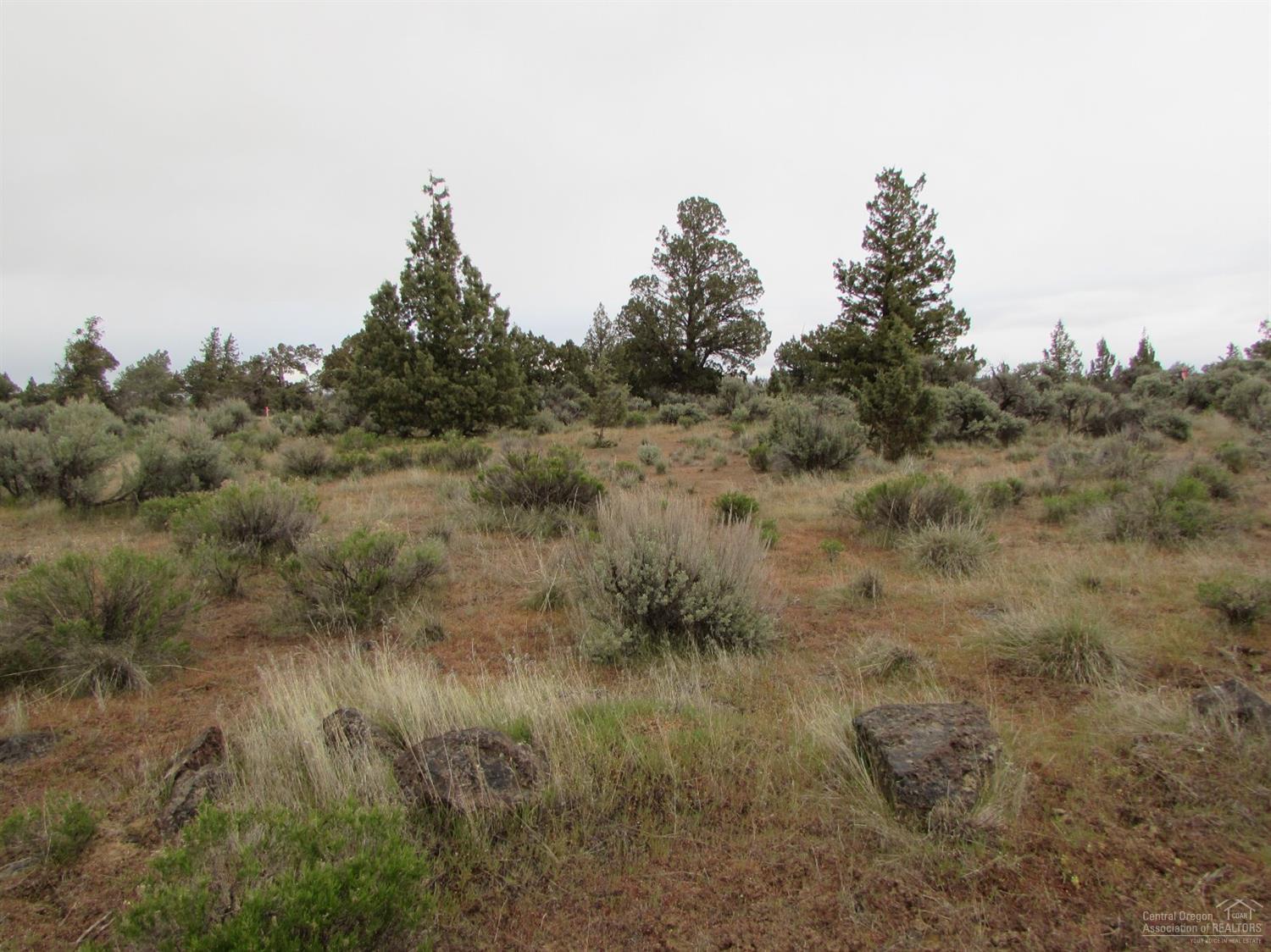 0 Southwest Twin Lakes Road Powell Butte, OR 97753 - Photo 3 of 6 Additional Photo