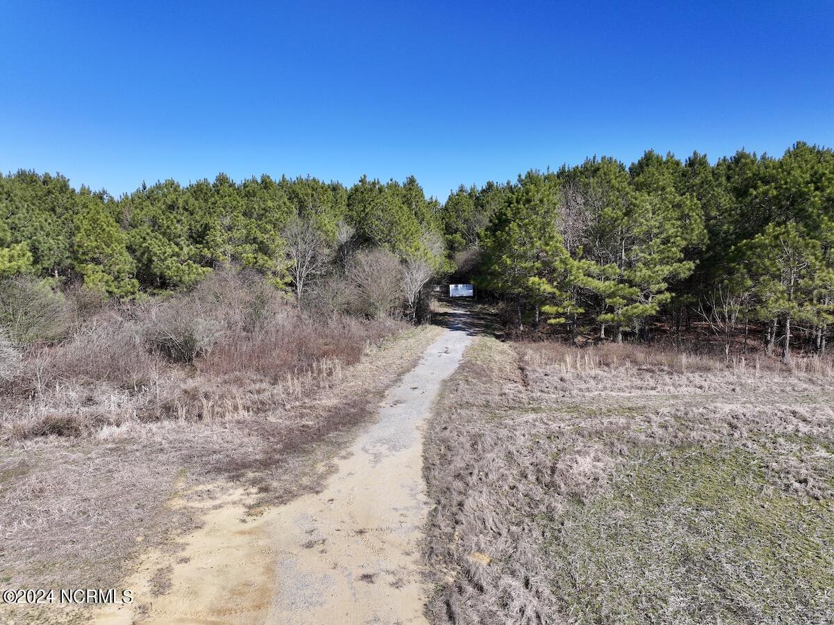 0 Rehoboth Church Road Jackson, NC 27845 - Photo 41 of 46 40