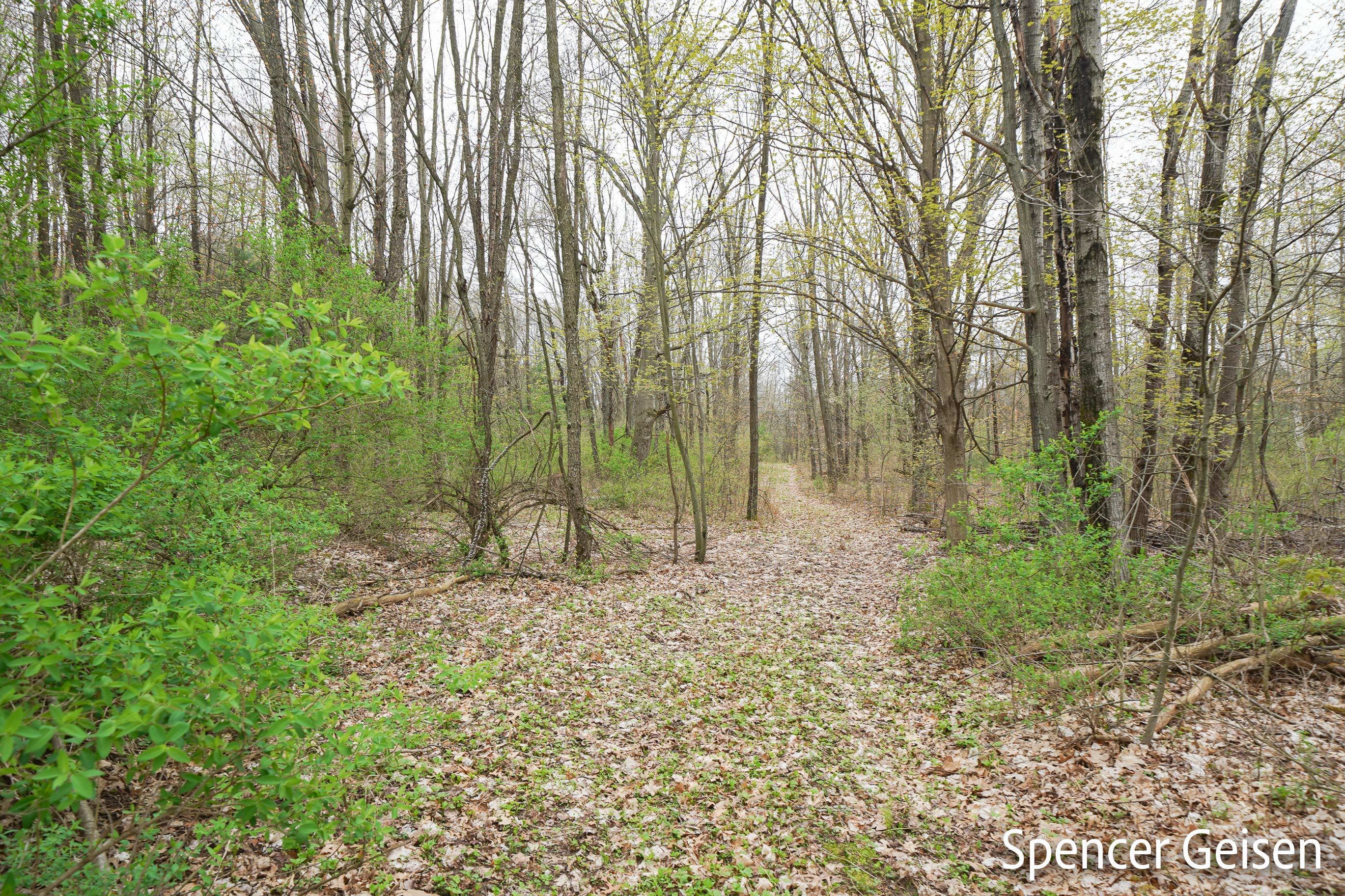 8179 West Colby Road Greenville, MI 48838 - Photo 43 of 49 8179 W Colby Rd, Greenville, MI 1-43