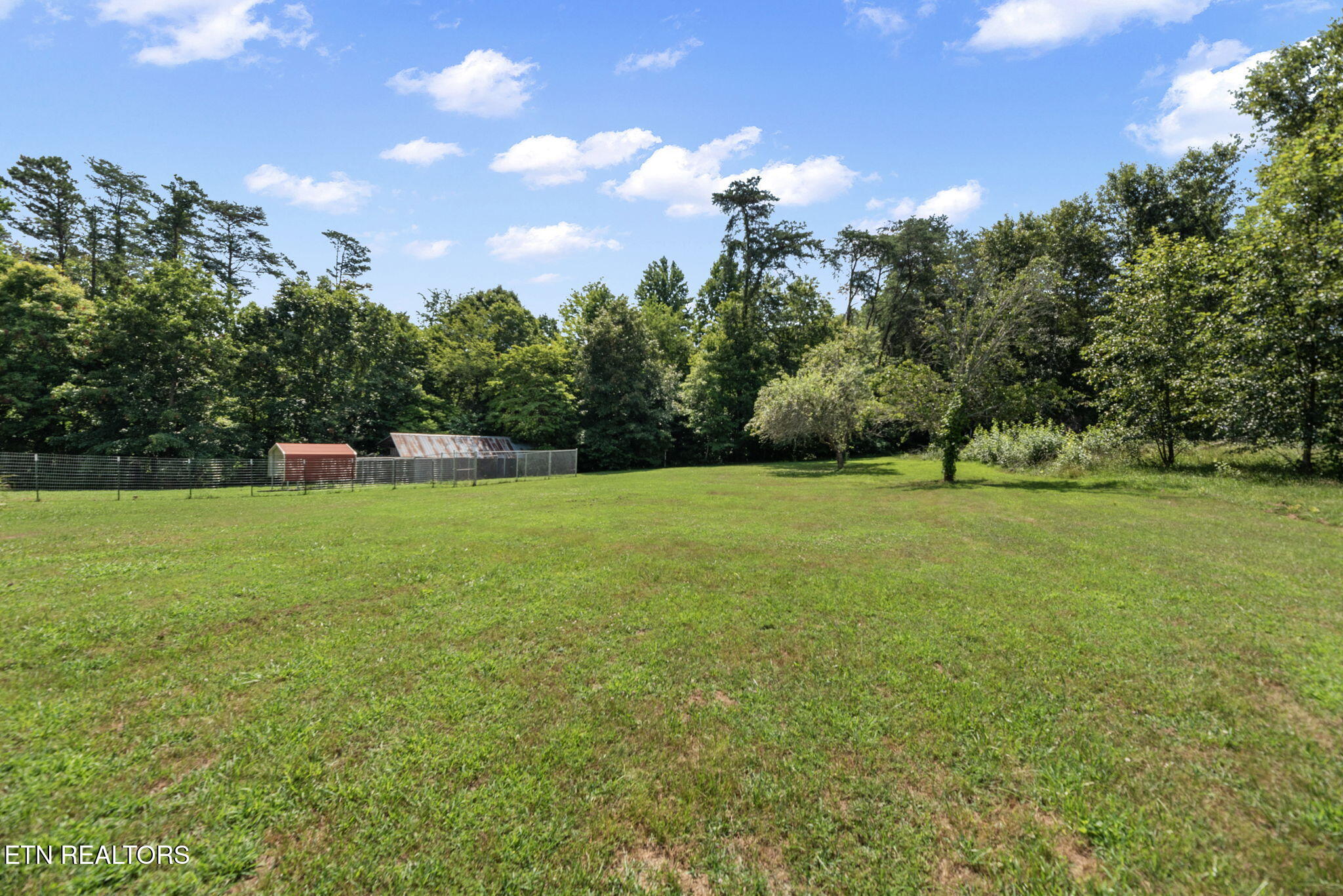 295 Barber Road Corryton, TN 37721 - Photo 34 of 43 34-web-or-mls-ClrBrnch295 (7)