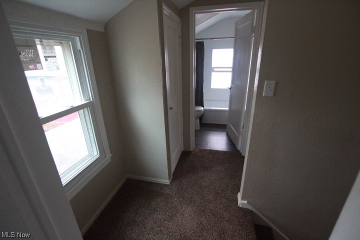 3606 Shelby Road Youngstown, OH 44511 - Photo 15 of 33 Hall with a wealth of natural light and dark colored carpet