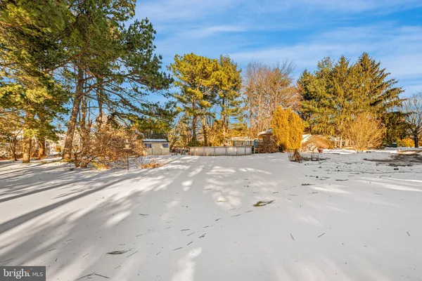 a view of road with trees