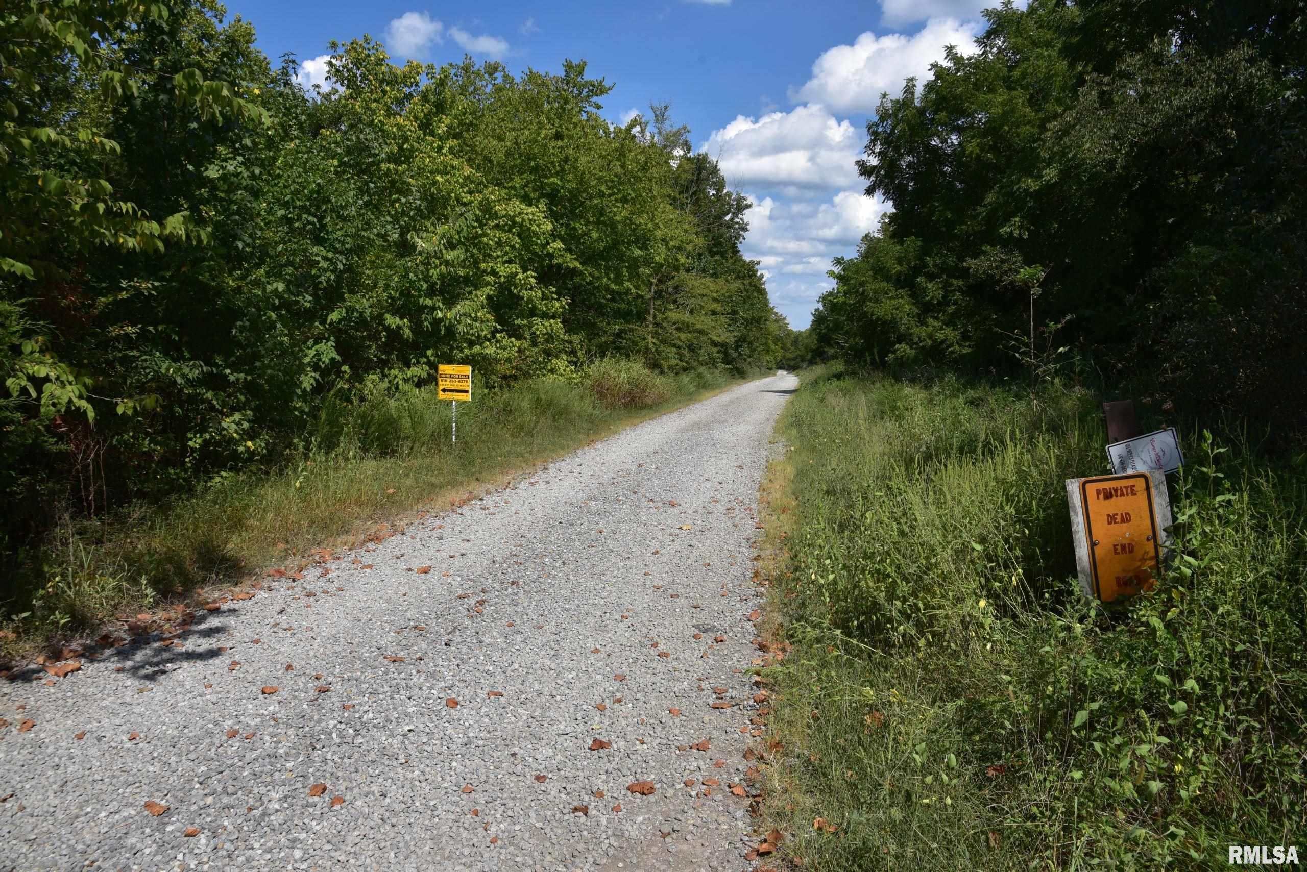 0 Old Delta Mine Road Marion, IL 62959 - Photo 17 of 49