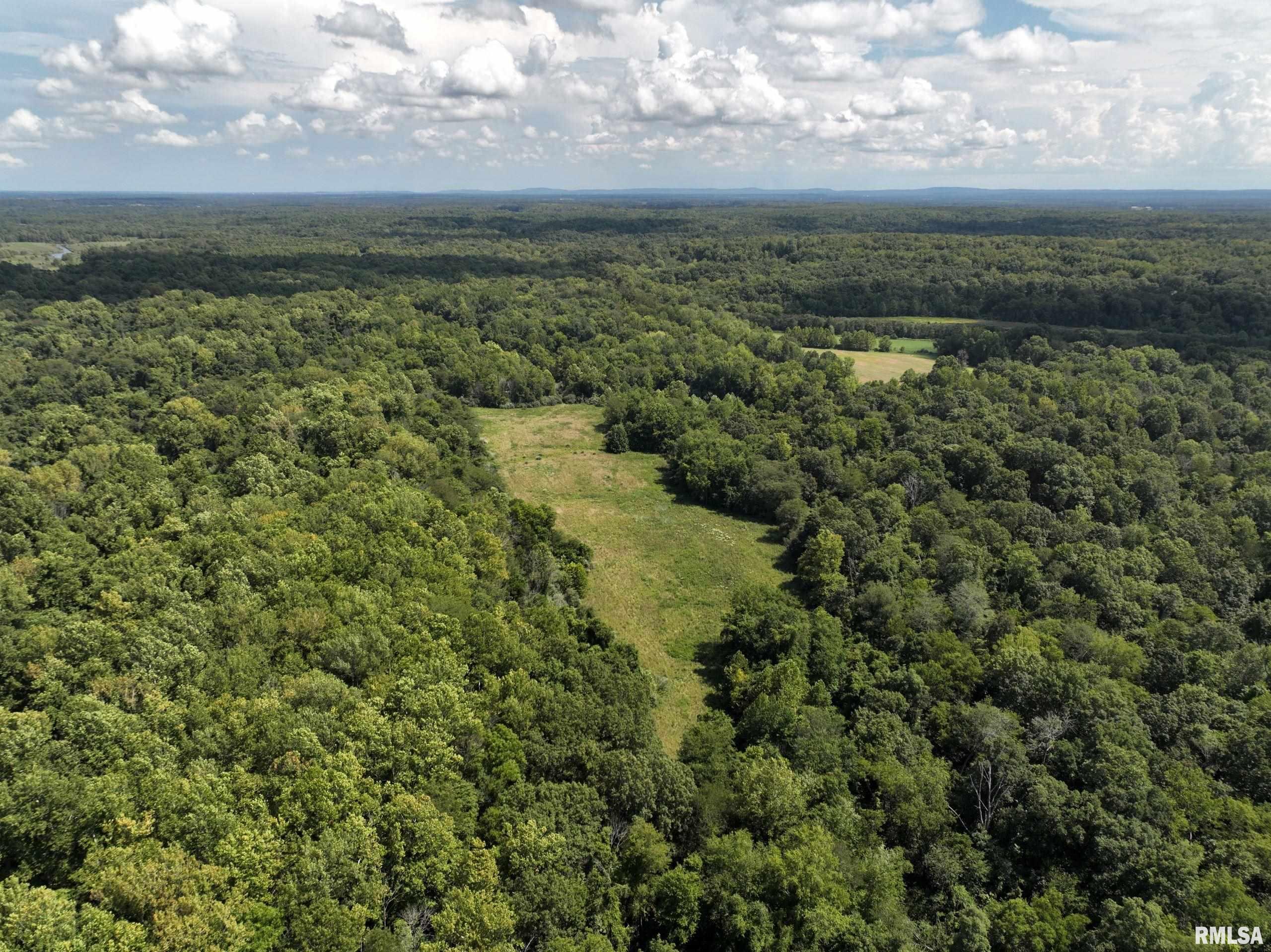 0 Old Delta Mine Road Marion, IL 62959 - Photo 29 of 49