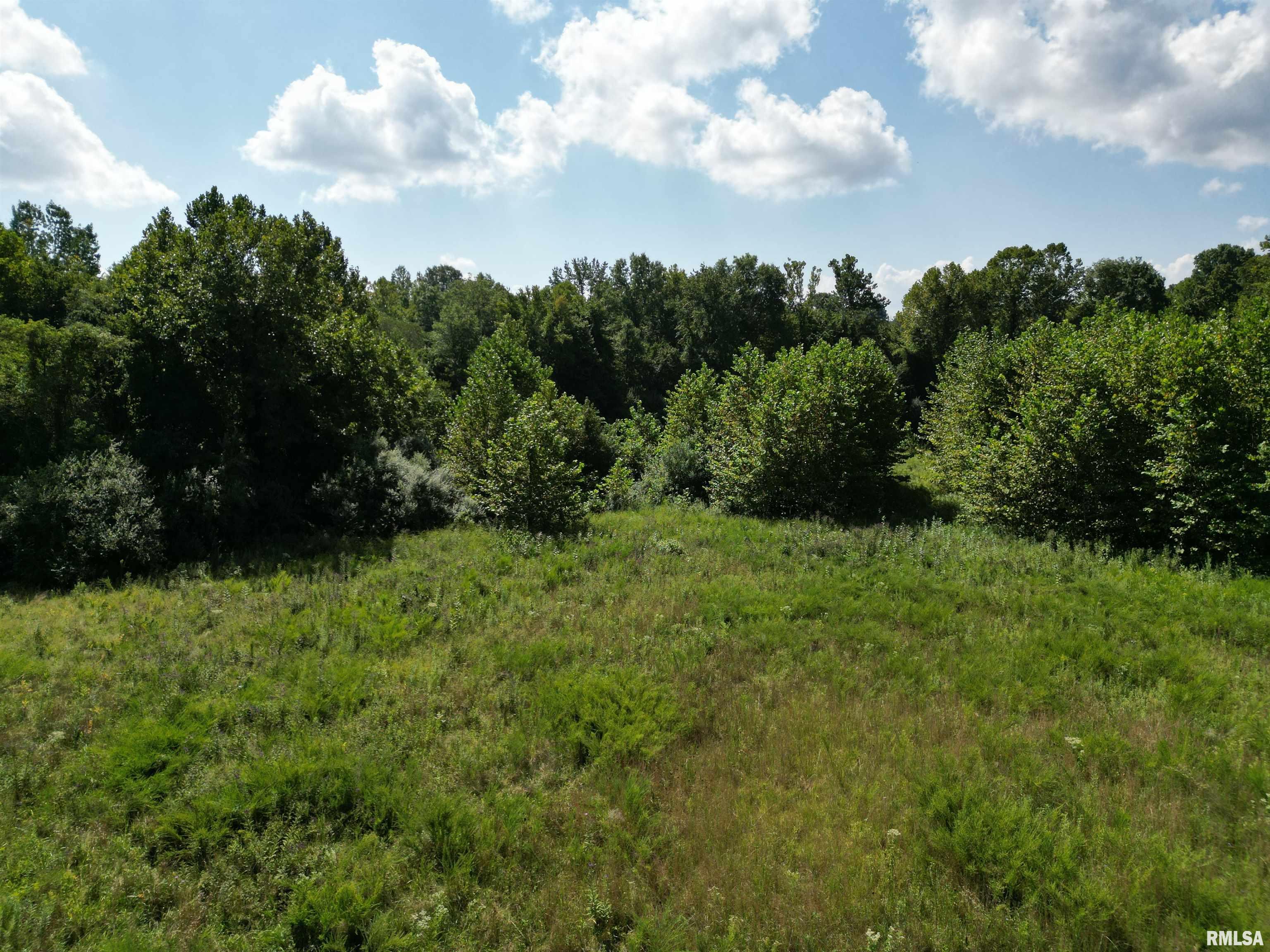 0 Old Delta Mine Road Marion, IL 62959 - Photo 3 of 49