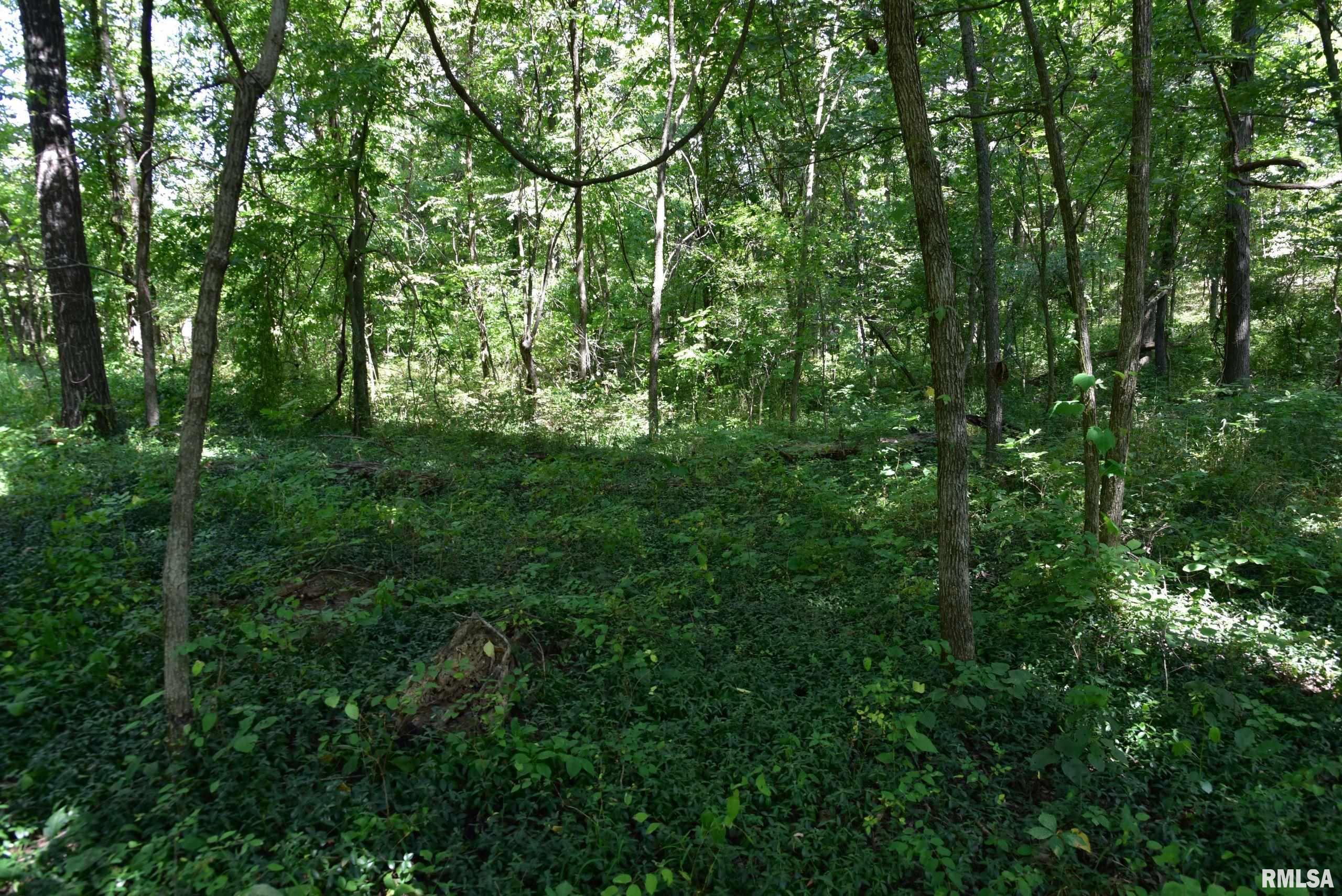 0 Old Delta Mine Road Marion, IL 62959 - Photo 36 of 49