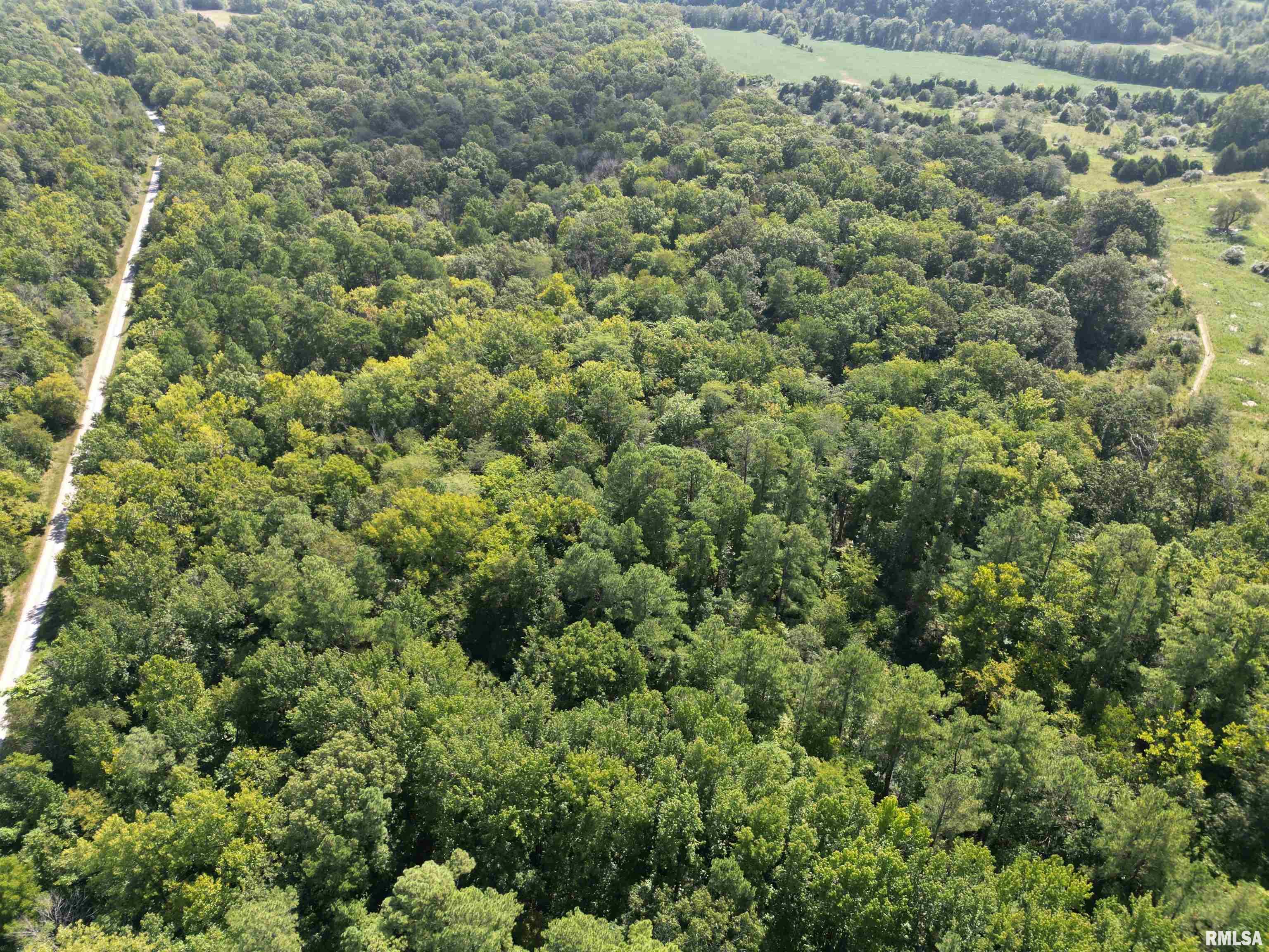0 Old Delta Mine Road Marion, IL 62959 - Photo 9 of 49