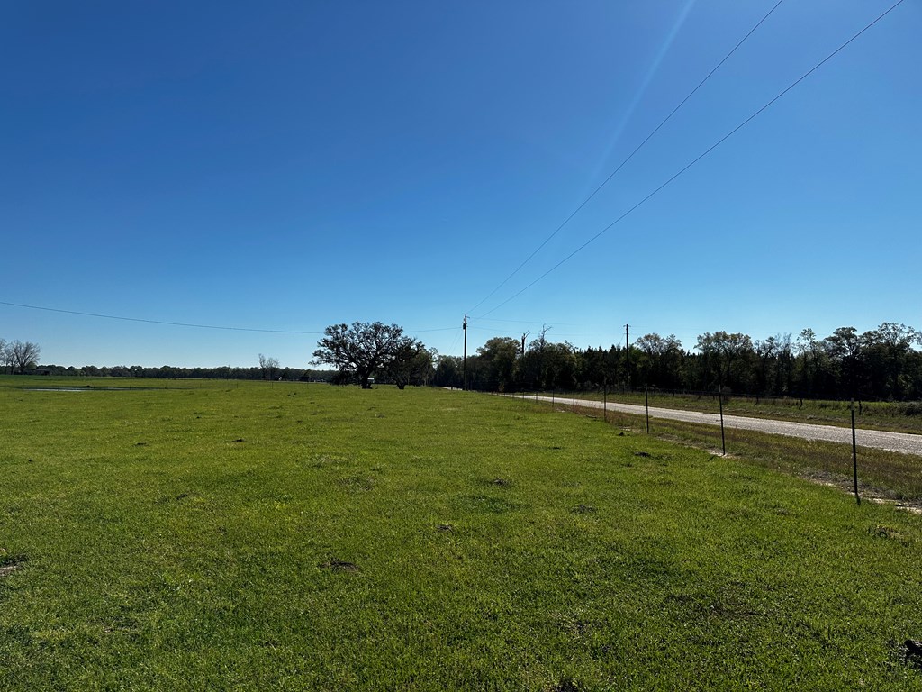 9.53-acres Ramer Loop Cottonwood, AL 36320 - Photo 8 of 14