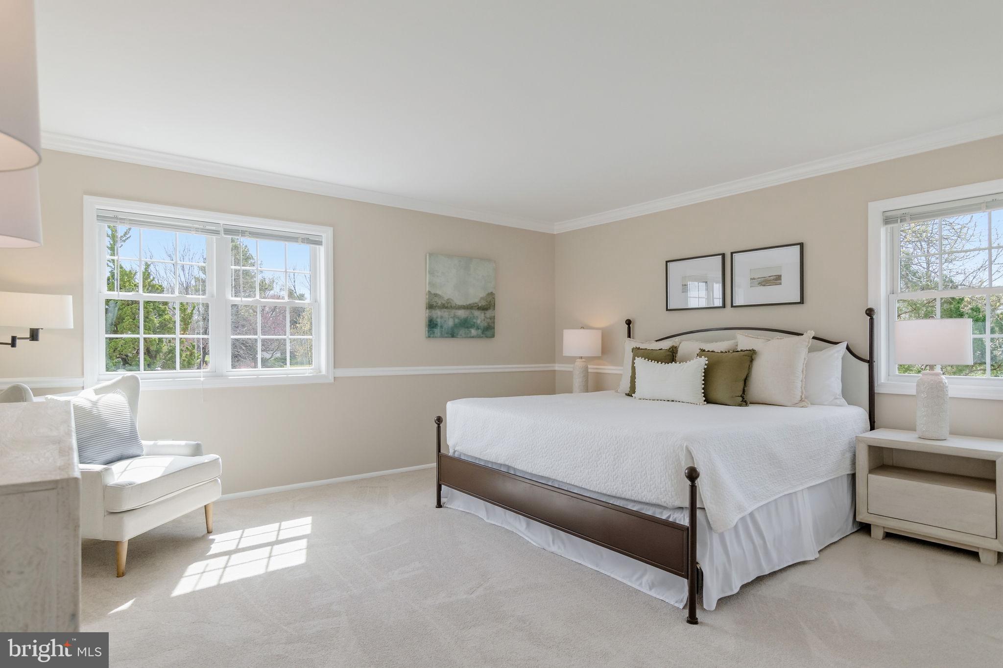 123 South Fox Road Sterling, VA 20164 - Photo 18 of 31 Primary Bedroom, brand new carpet, 2 closets
