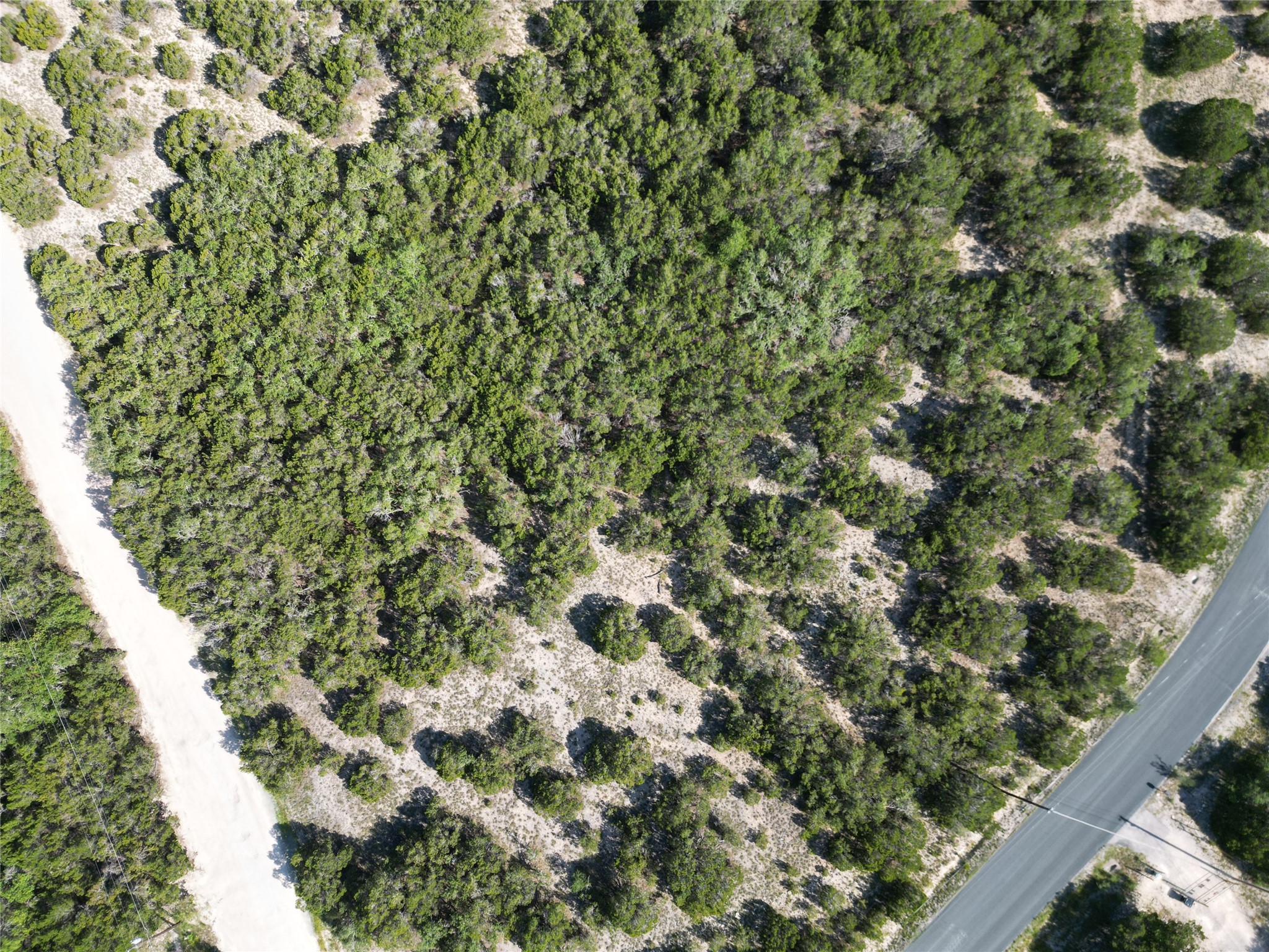 Lot 29 Anderson Trail Leander, TX 78641 - Photo 14 of 22 a view of a large yard with lots of bushes