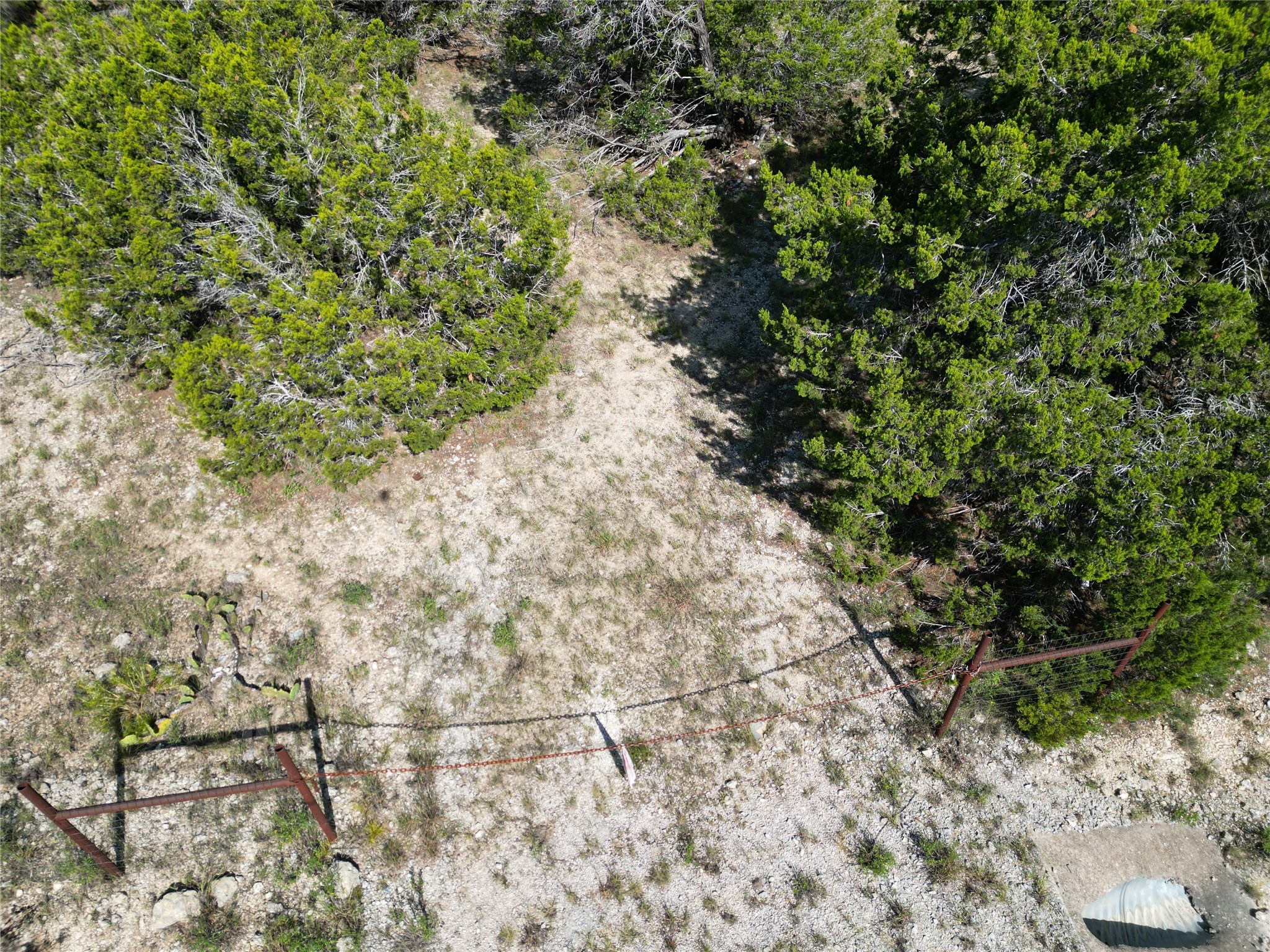 Lot 29 Anderson Trail Leander, TX 78641 - Photo 4 of 22 a view of a yard with plants and next to a wall