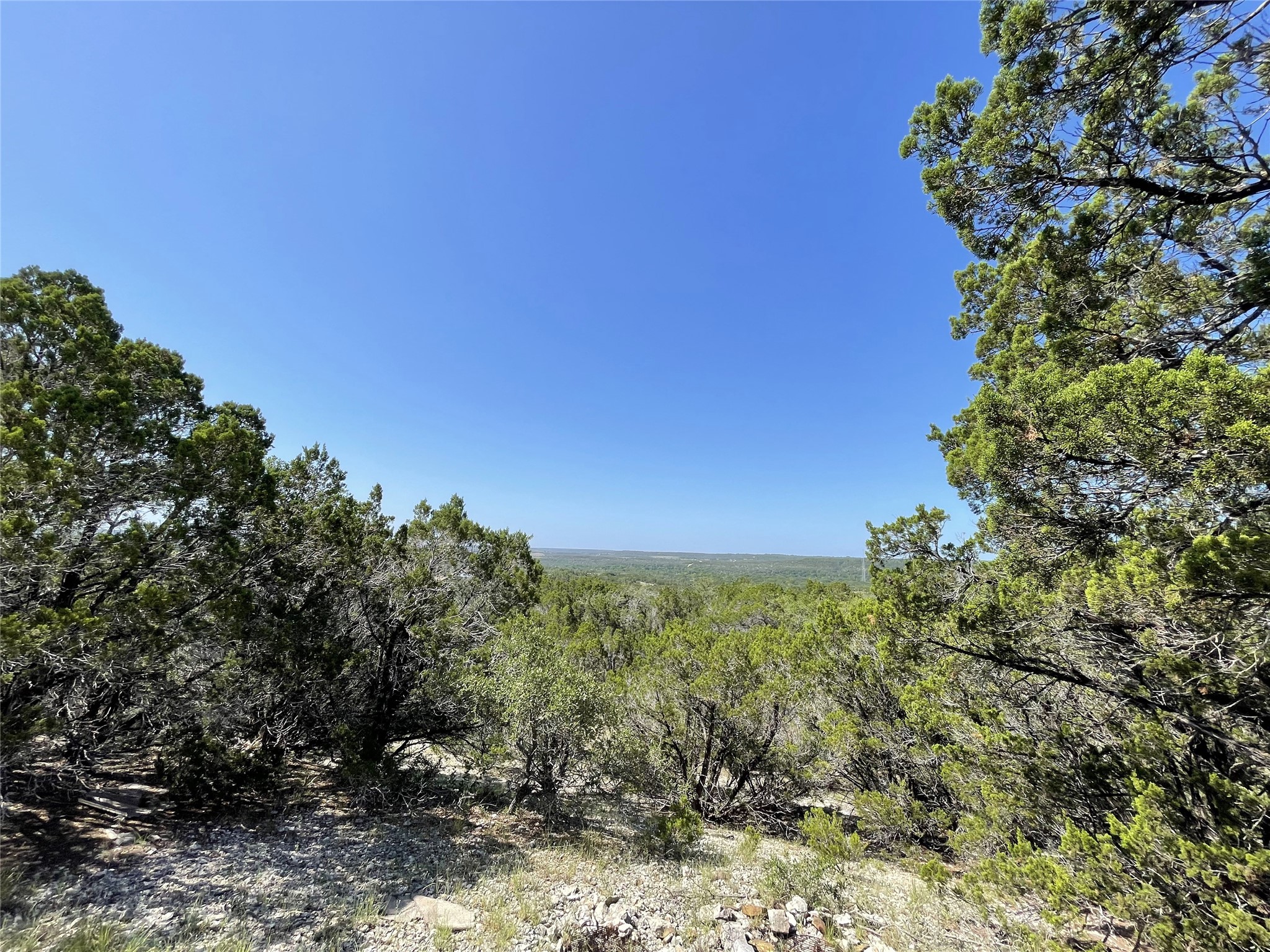 Lot 29 Anderson Trail Leander, TX 78641 - Photo 9 of 22 a view of a bunch of trees and bushes