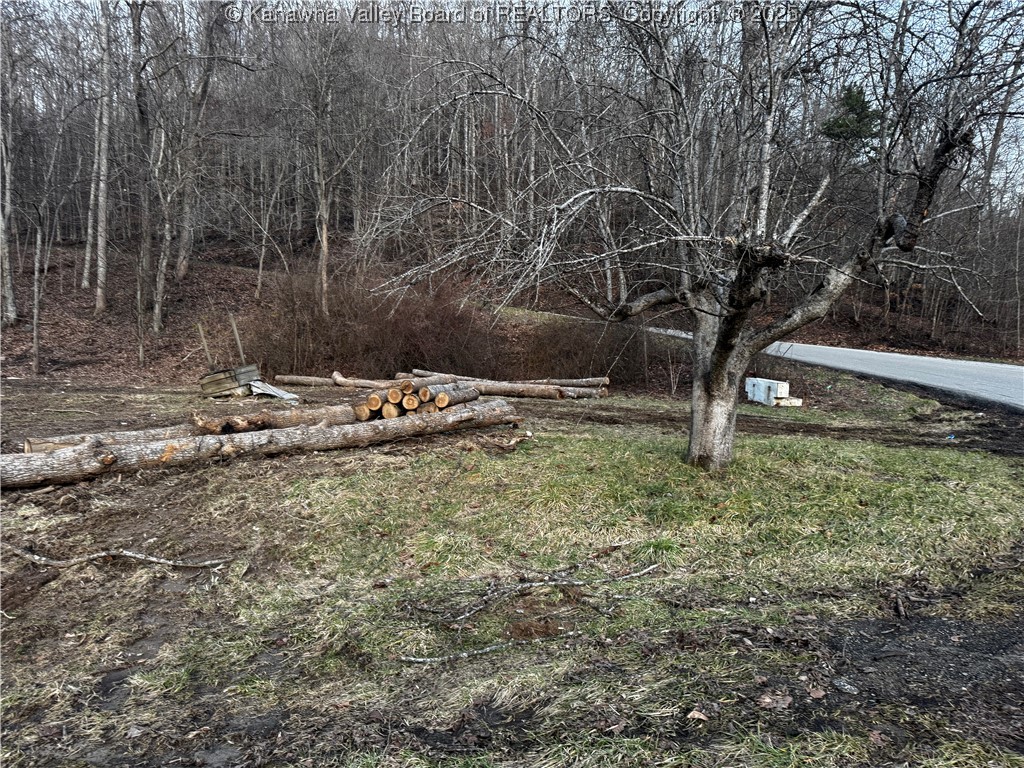 1696 Limestone Branch Road Harts, WV 25524 - Photo 14 of 18 Gallery Image 14