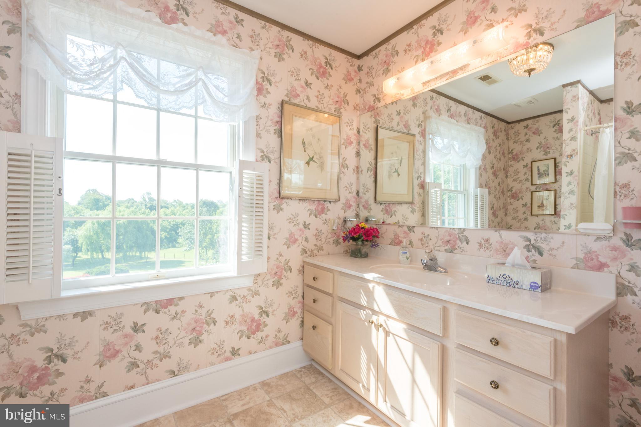 29590 Morgnec Road Millington, MD 21651 - Photo 17 of 84 Gallery Image 17