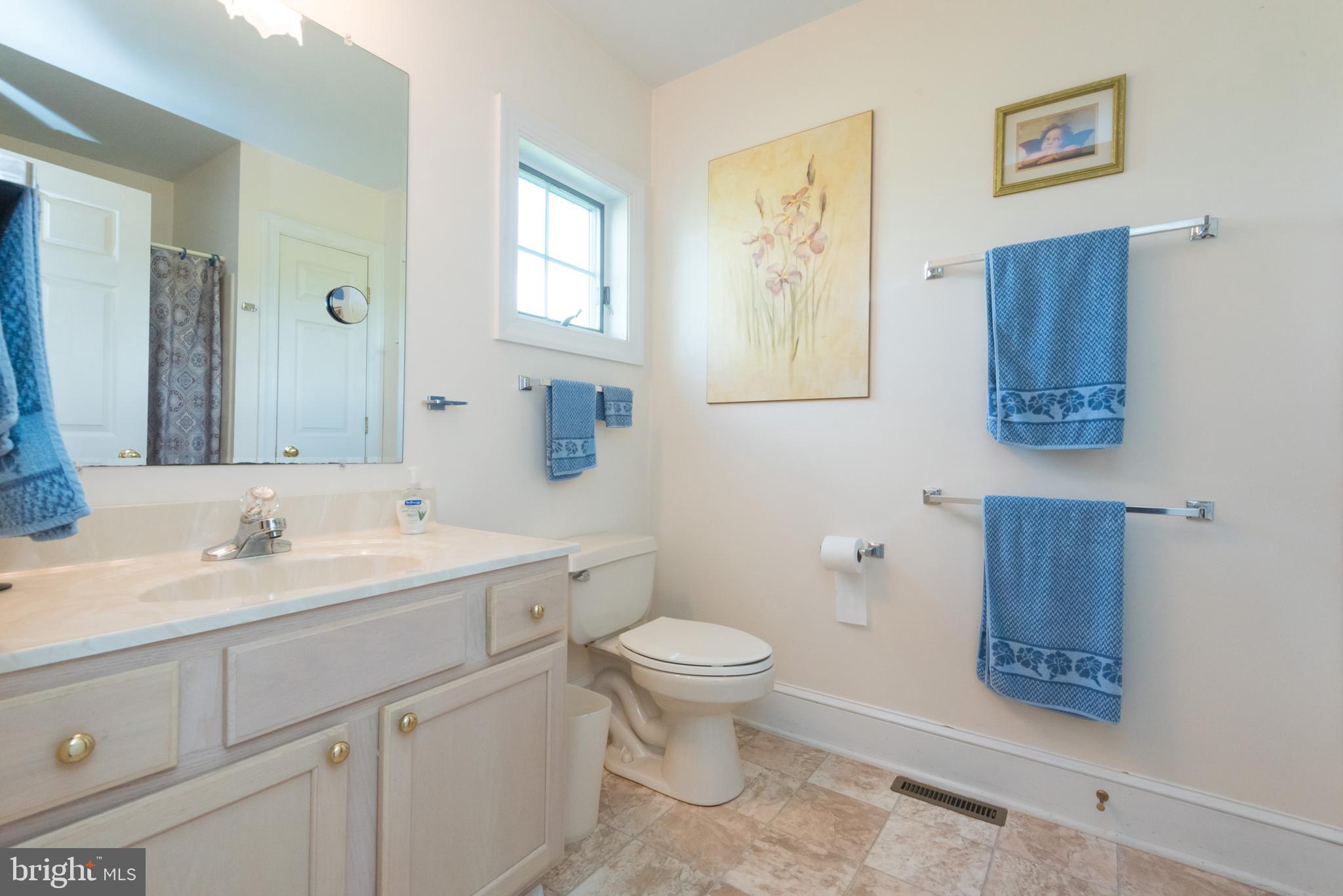 29590 Morgnec Road Millington, MD 21651 - Photo 32 of 84 Gallery Image 32