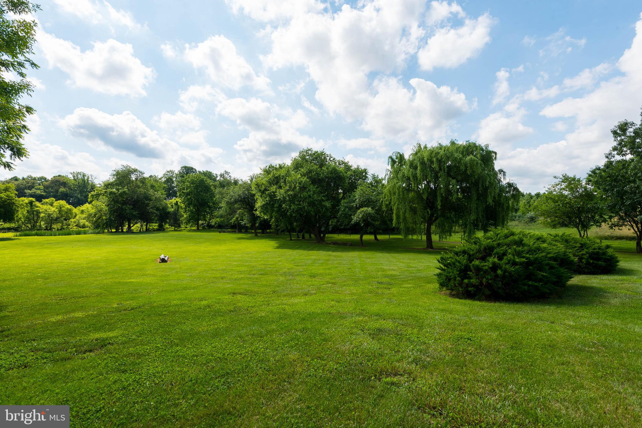 29590 Morgnec Road Millington, MD 21651 - Photo 59 of 84 Gallery Image 59