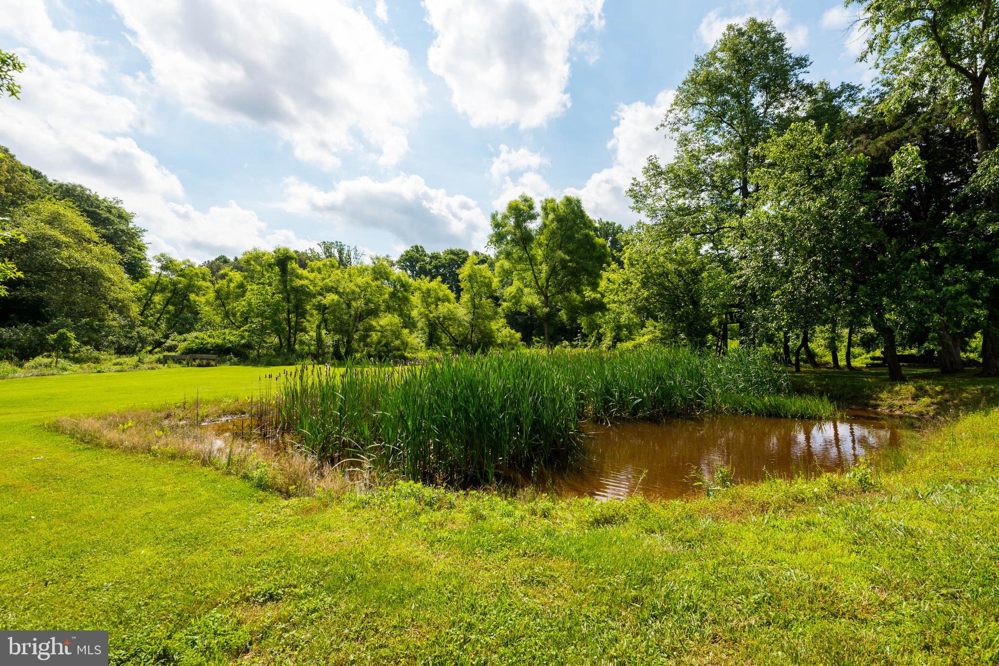 29590 Morgnec Road Millington, MD 21651 - Photo 62 of 84 Gallery Image 62