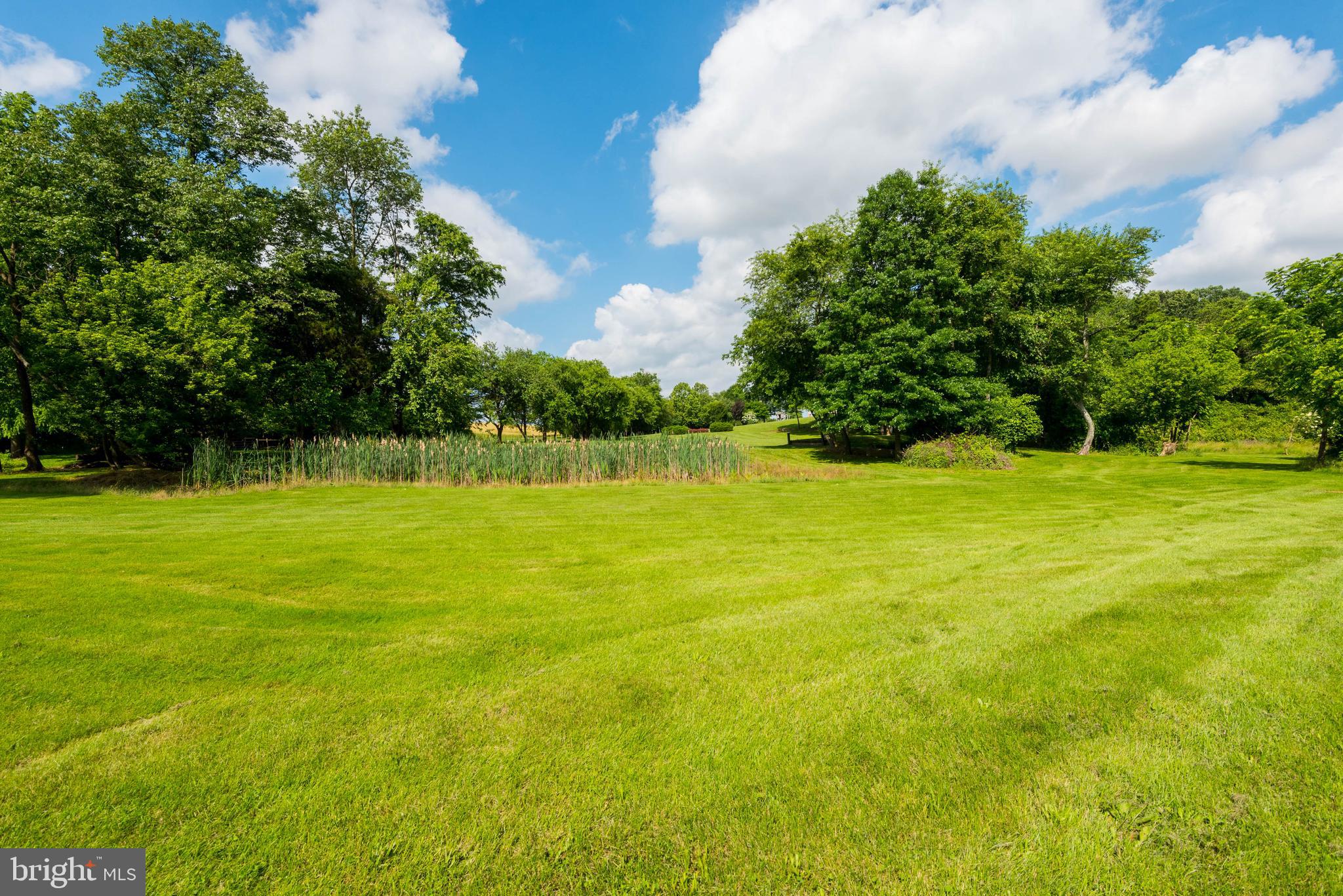 29590 Morgnec Road Millington, MD 21651 - Photo 63 of 84 Gallery Image 63