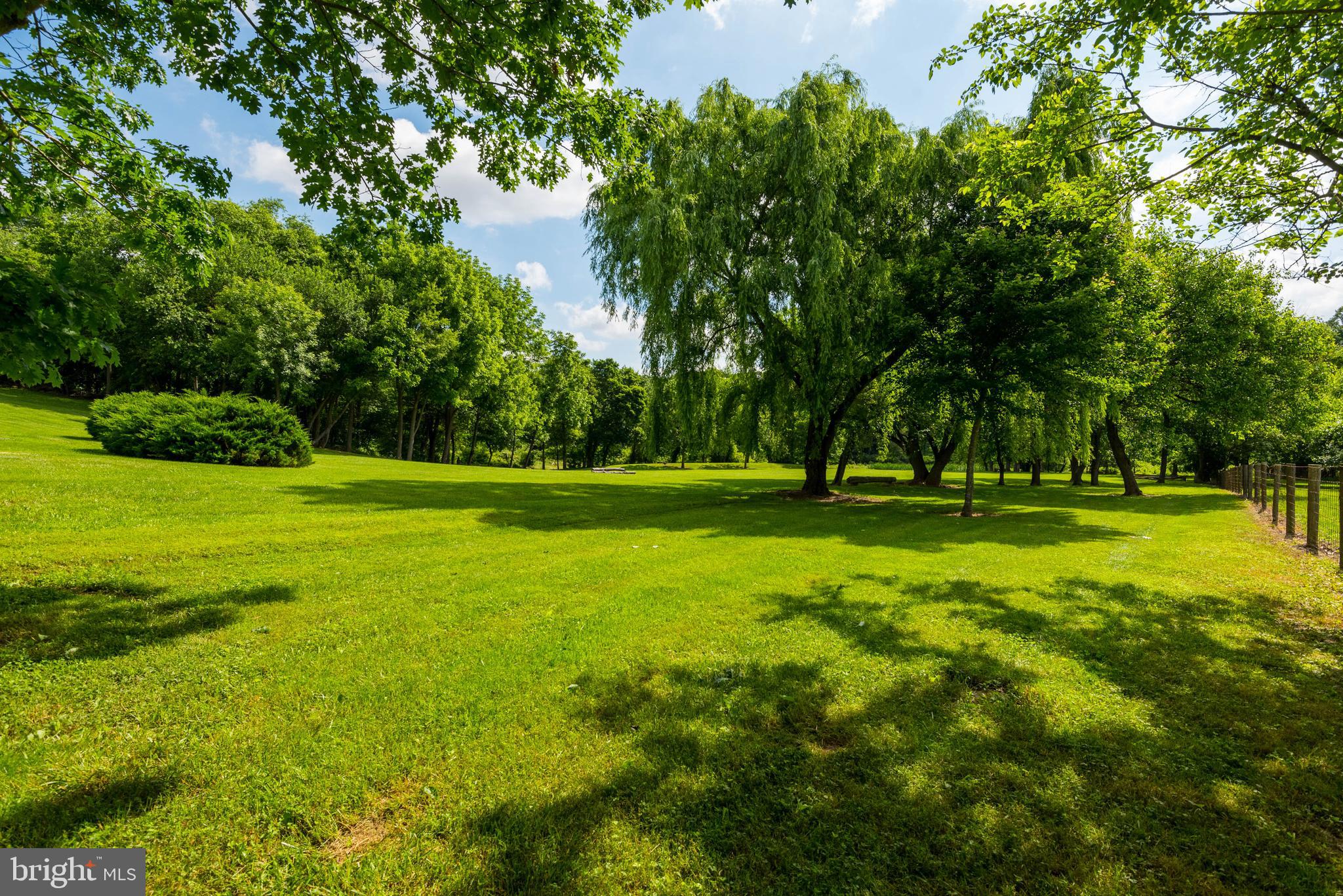 29590 Morgnec Road Millington, MD 21651 - Photo 71 of 84 Gallery Image 71