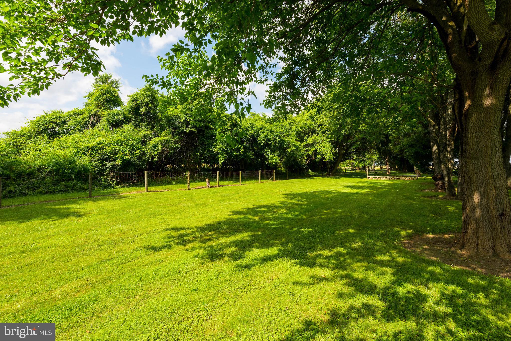 29590 Morgnec Road Millington, MD 21651 - Photo 72 of 84 Gallery Image 72