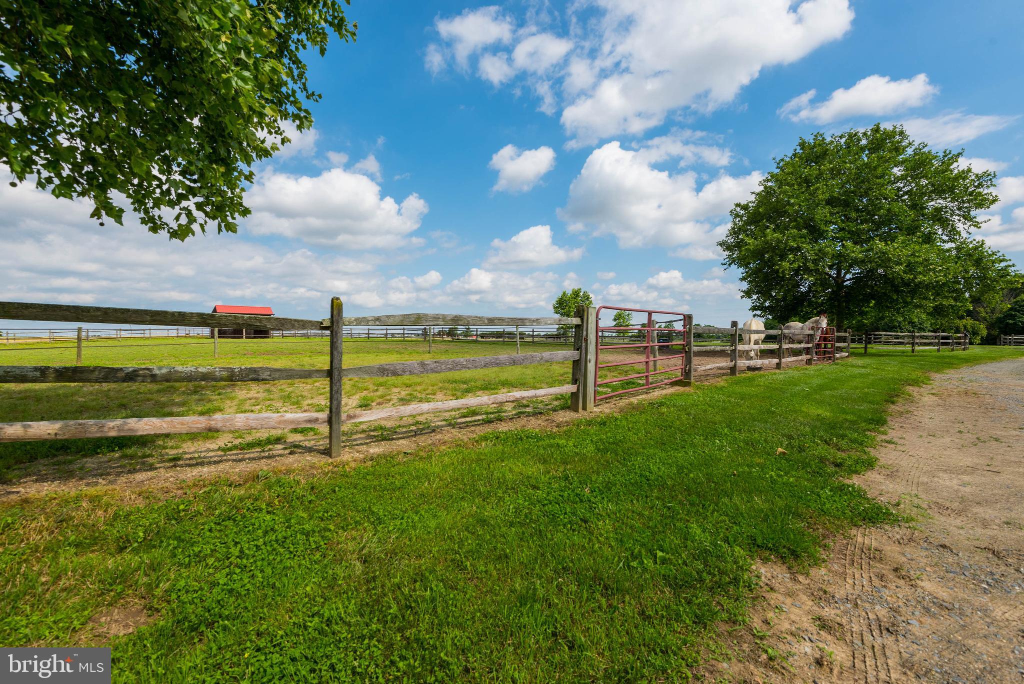29590 Morgnec Road Millington, MD 21651 - Photo 76 of 84 Gallery Image 76