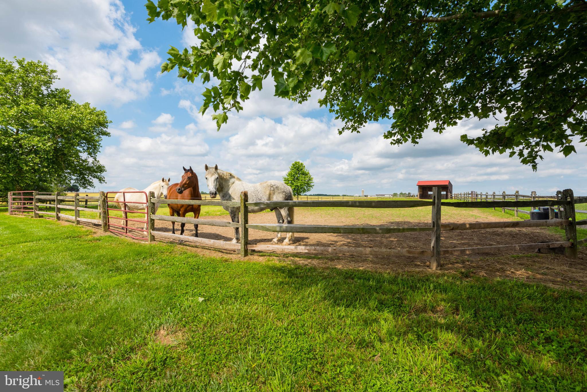 29590 Morgnec Road Millington, MD 21651 - Photo 78 of 84 Gallery Image 78