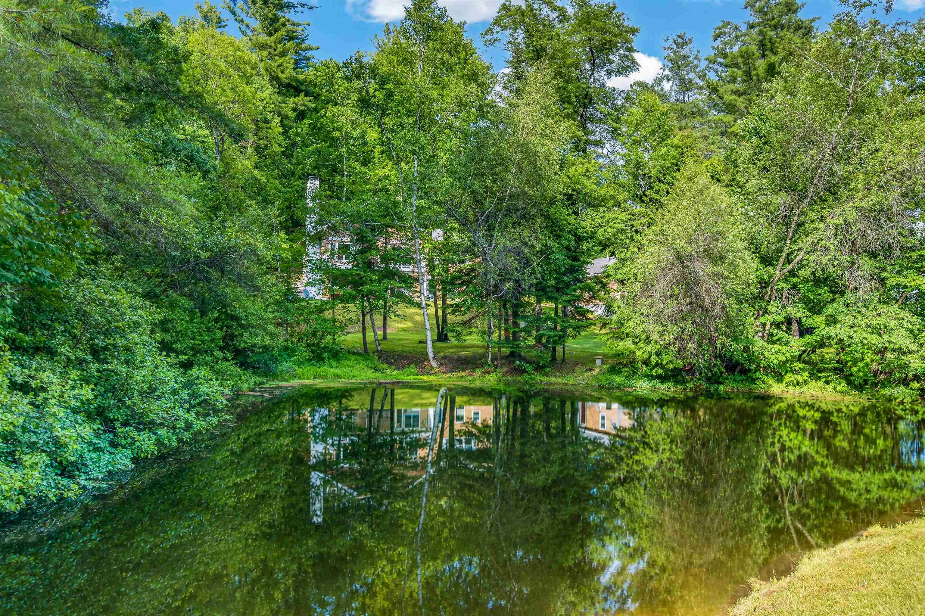 11 Stratton View Road Winhall, VT 05340 - Photo 43 of 49