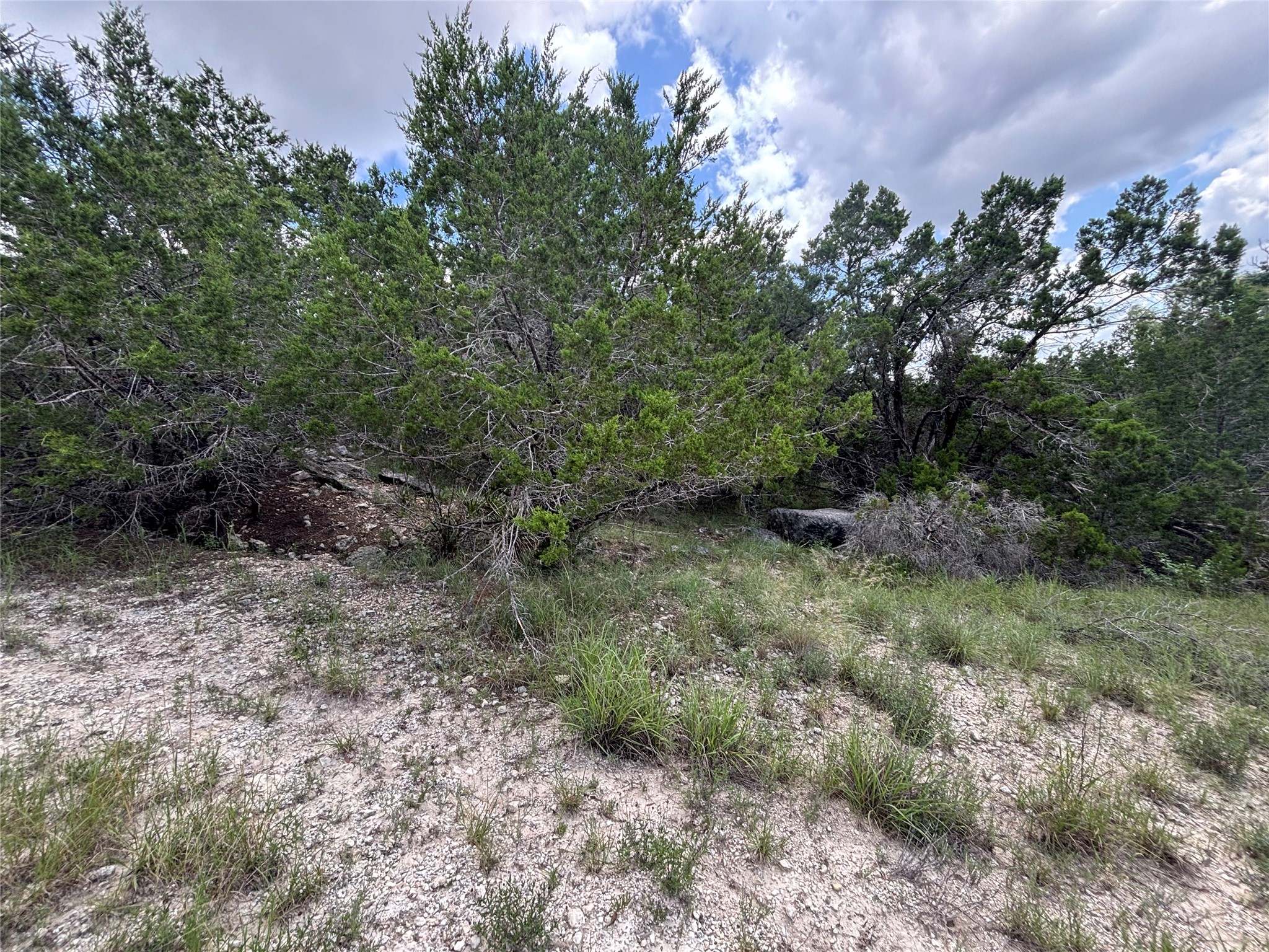 20501 Earhart Lane Leander, TX 78645 - Photo 2 of 2 View of nature