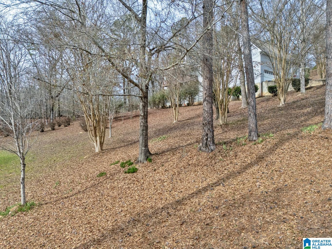 45 Autumn Lane Montevallo, AL 35115 - Photo 35 of 35