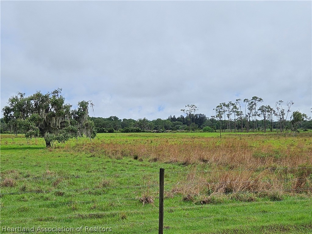 1013 Cattle Road Venus, FL 33960 - Photo 9 of 13 Gallery Image 9