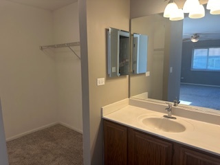 717 East Whispering Oaks Drive, Unit 2RR Palatine, IL 60074 - Photo 9 of 11 a bathroom with a sink and a mirror