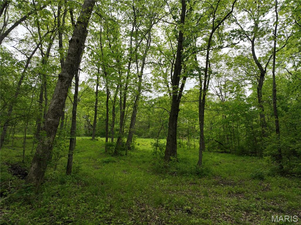110 Spring House Lane Troy, MO 63379 - Photo 11 of 14