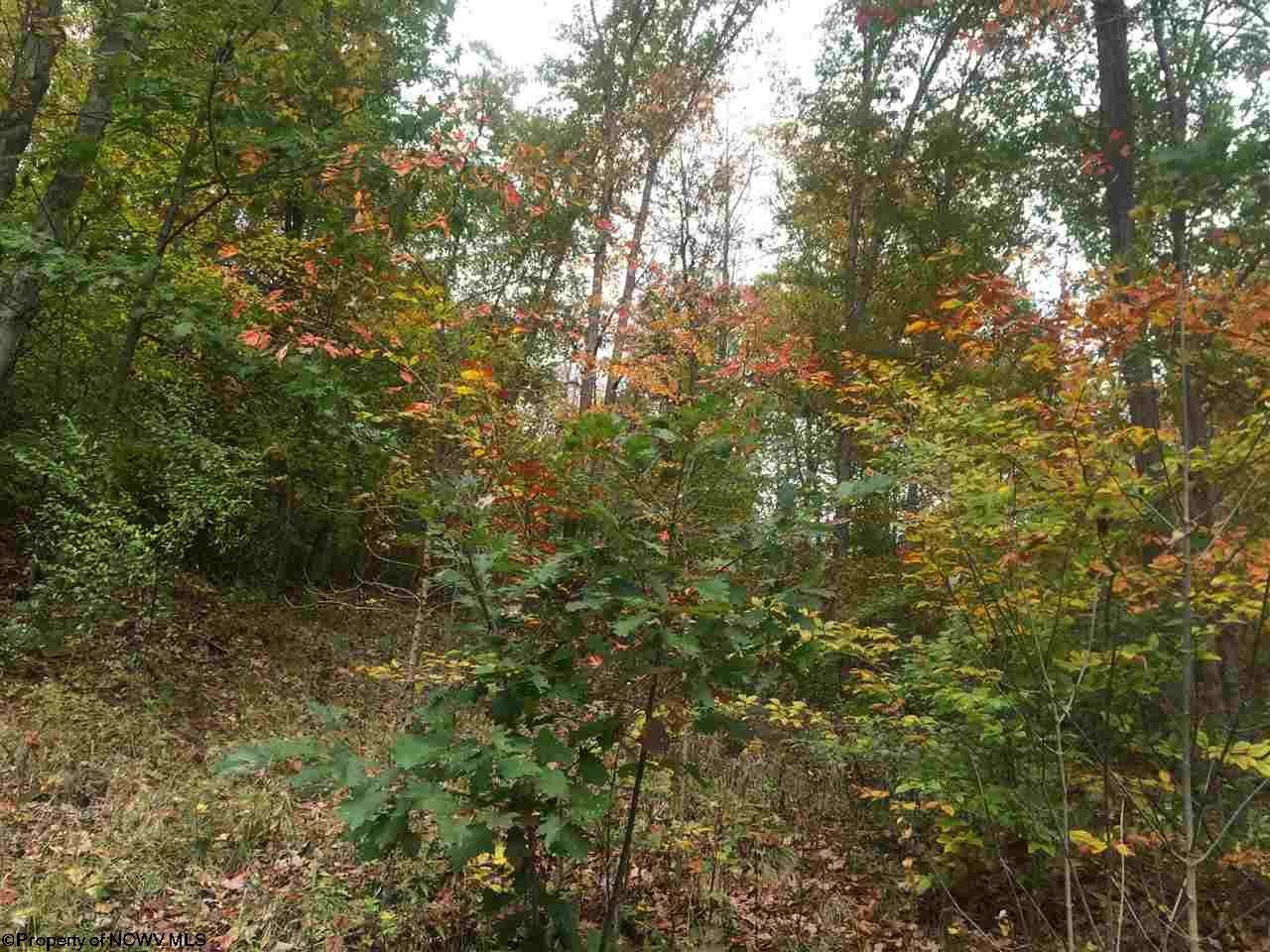 Tbd Tbd Ridge Masontown, WV 26542 - Photo 4 of 11 Gallery Image 4