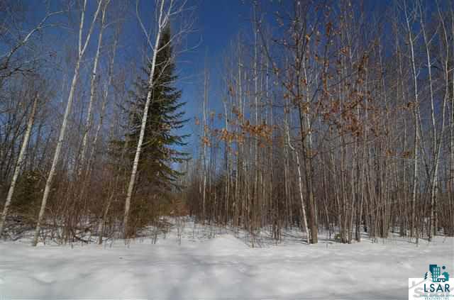 7389 East Crossover Road South Range, WI 54874 - Photo 24 of 25 Trees & Trails