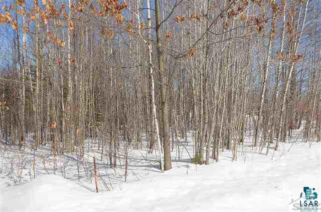 7389 East Crossover Road South Range, WI 54874 - Photo 25 of 25 Survey Marker on Easterly border