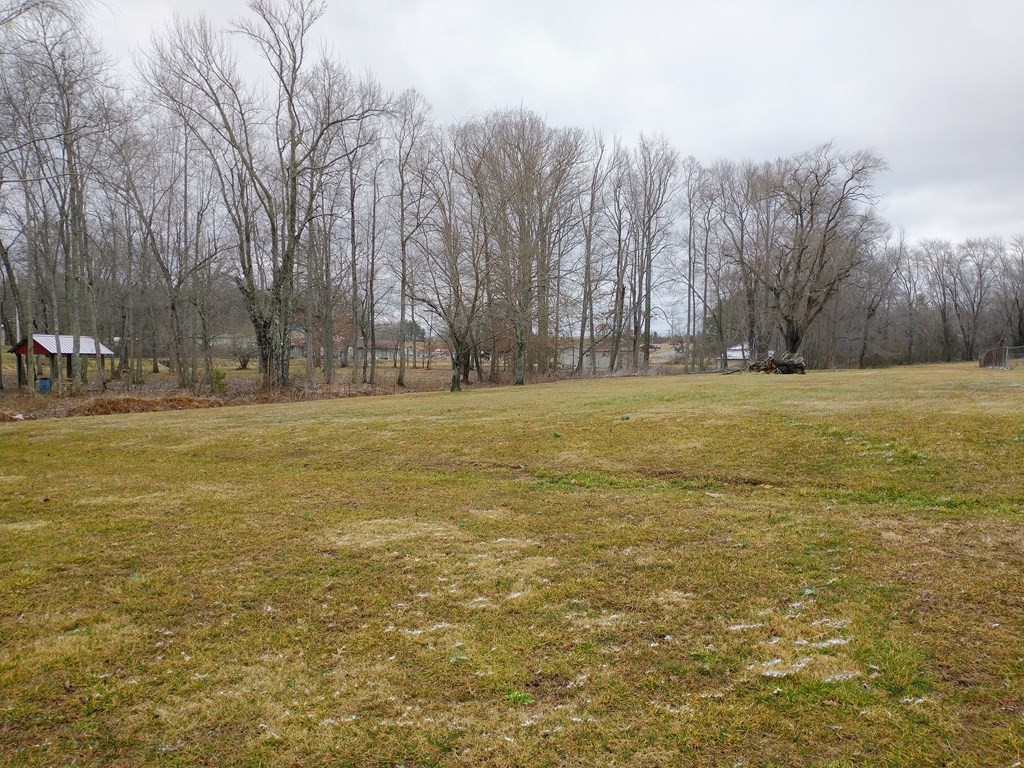 0 Glass House Road Helenwood, TN 37755 - Photo 8 of 9 Gallery Image 8