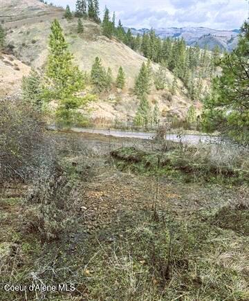 Tbd Canyon Drive Kooskia, ID 83539 - Photo 14 of 22 15
