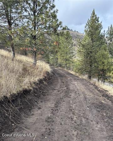 Tbd Canyon Drive Kooskia, ID 83539 - Photo 17 of 22 18
