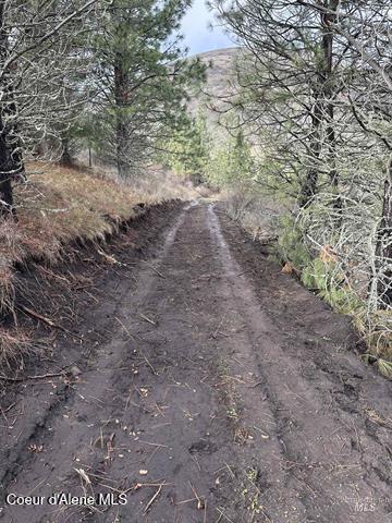 Tbd Canyon Drive Kooskia, ID 83539 - Photo 5 of 22 5