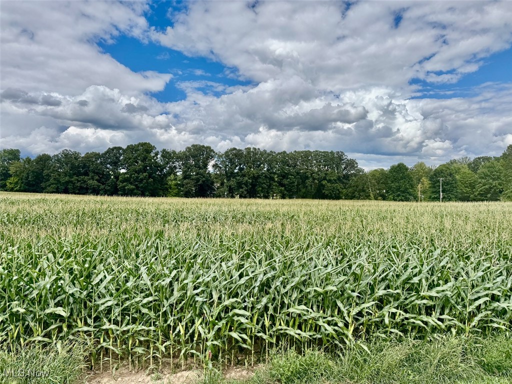 View of local wilderness with rural landscape and extensive farmland