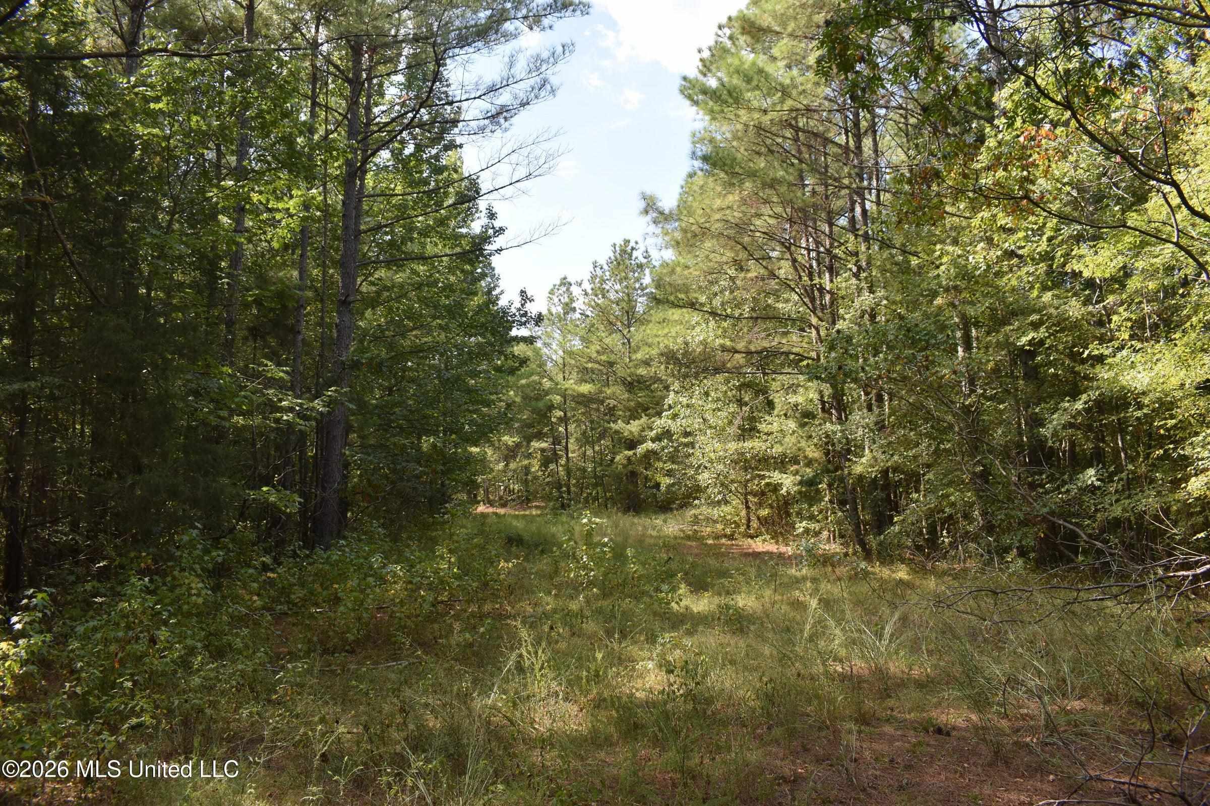 700 Front Road Benoit, MS 38725 - Photo 23 of 31 Gallery Image 23