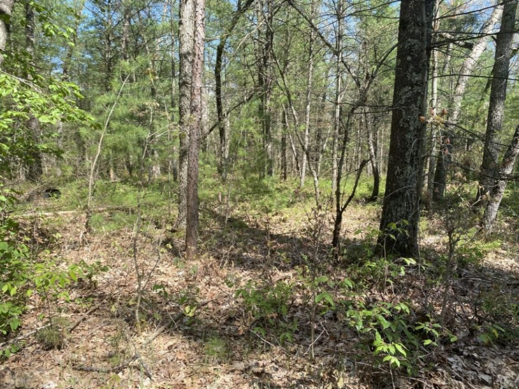 0 North Kettle Hole Road Manistee, MI 49660 - Photo 1 of 12 UNADJUSTEDNONRAW_thumb_6f20