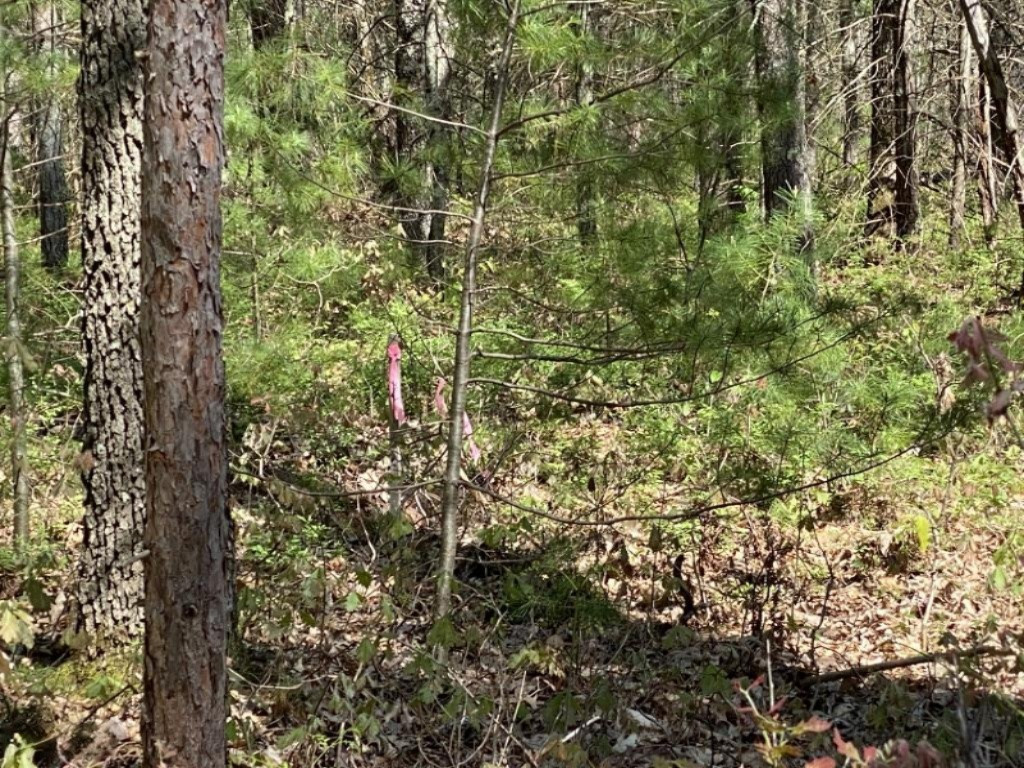 0 North Kettle Hole Road Manistee, MI 49660 - Photo 5 of 12 UNADJUSTEDNONRAW_thumb_6f3a