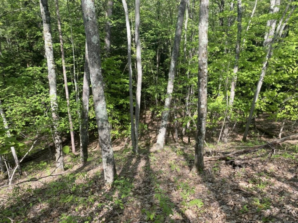 0 North Kettle Hole Road Manistee, MI 49660 - Photo 6 of 12 UNADJUSTEDNONRAW_thumb_6f17