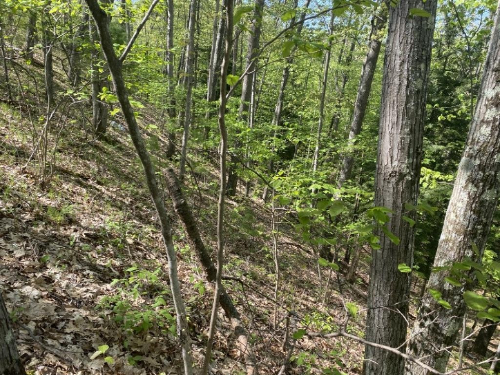 0 North Kettle Hole Road Manistee, MI 49660 - Photo 7 of 12 UNADJUSTEDNONRAW_thumb_6f25